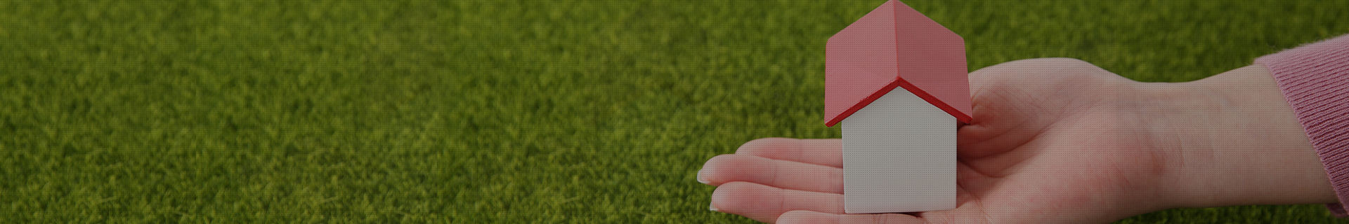 서브 비주얼 이미지